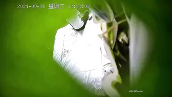 最新流出酒店绿叶房偷拍猛男一下午连续干了刚怀孕不久的大奶少妇三次尝尝怀孕逼的味道