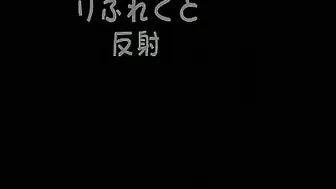 [3D]りふれくと[夜桜字幕组]