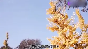 假装处女的絶伦朴素女[中文字幕]