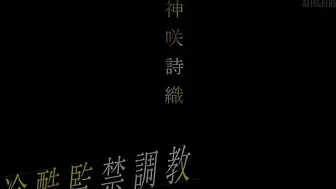 冷酷监禁滴蜡性虐调教[中文字幕]