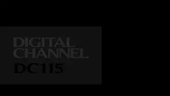 [在线]DIGITAL CHANNEL DC115 水咲ローラ